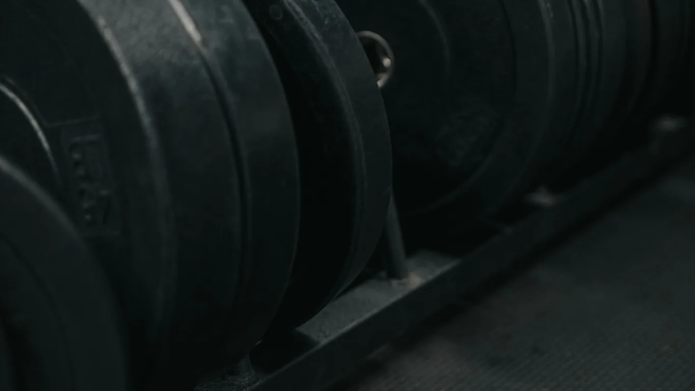 Farbige Bumper Plates auf einer Langhantel im Rack, warm beleuchtet