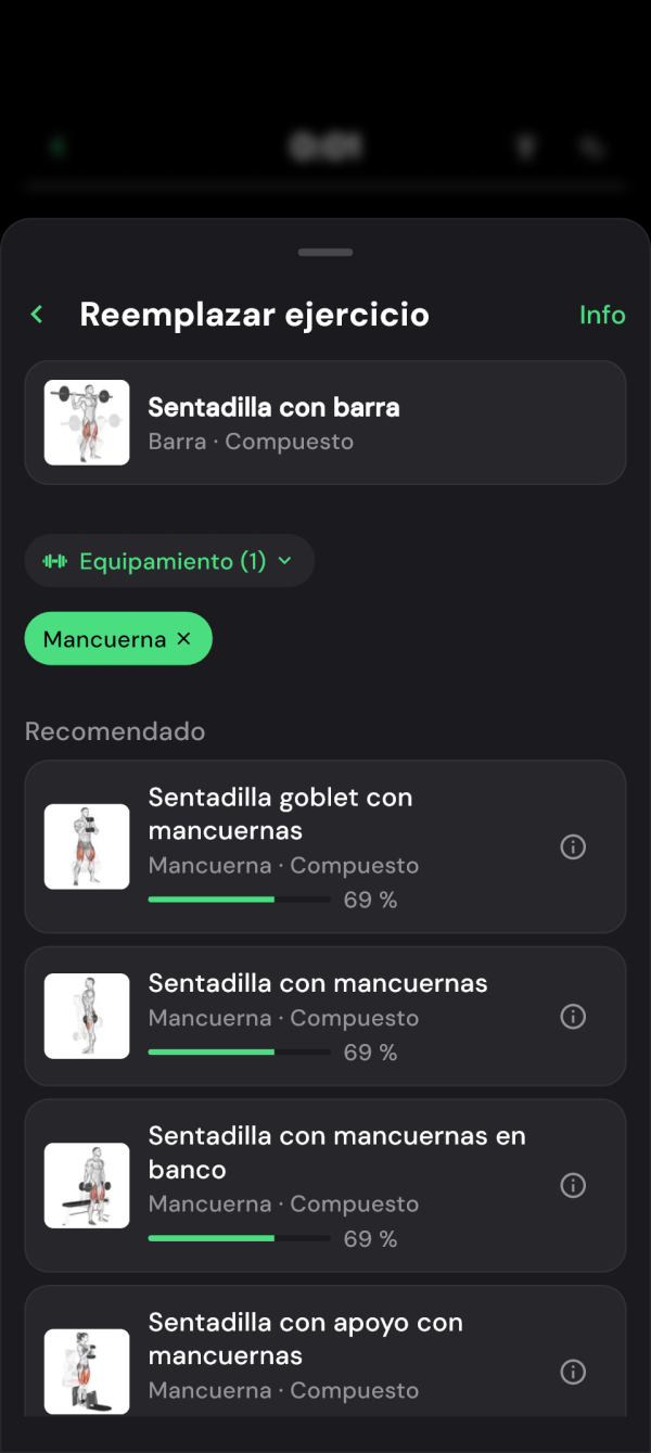 Alternativas filtradas por mancuernas