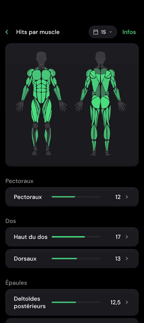 Carte musculaire des sept derniers jours