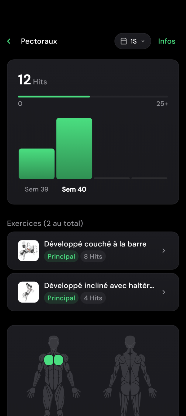 Détail des pectoraux avec contribution des exercices