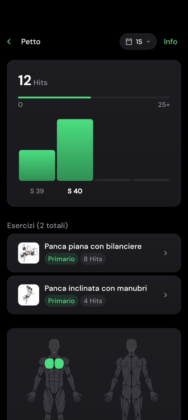 Dettaglio del petto con contributi degli esercizi