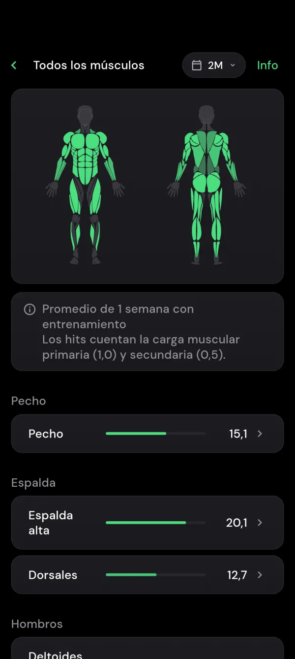Mapa muscular